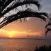 Janice Basler - Facebook