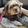 Janice Batten - @janice.batten3 - TikTok