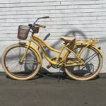 Janice Beane - @nashvillesyellowbike - Instagram