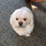 Janice Beardsley - @janice_beardsley21 - Instagram