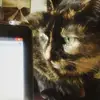 Janice Beavers - @janice.beavers - TikTok