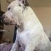 Janice Beebe - Facebook
