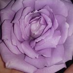 Bembry Janice - @bembryjanice - Instagram