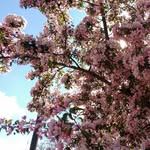 Janice Bender - @jhbredo - Instagram
