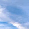 JaniceBender - @everebbdgjw - TikTok