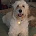 Janice Bentley - Facebook