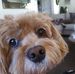 Janice Bernier - Facebook