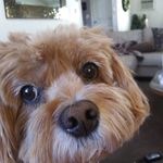 Janice Bernier - @janice.bernier.92 - Instagram