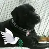 Janice Bichkam - @janicebichkam - TikTok