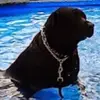 janicebickham161 - @janicebickham161 - TikTok