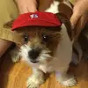 janicebigham - @janicebigham - TikTok