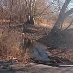 Janice Billups - @caz1.982 - Instagram