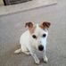 Janice Irene Binder - Facebook