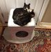 Janice Birtles - Facebook