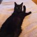 Jan Blackham - Facebook