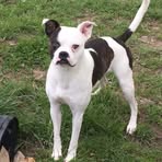 Janice Blackledge - Facebook