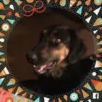 Janice Blackledge - Facebook