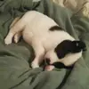 Janice Bragg - @janice.bragg - TikTok