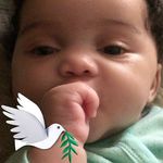 Janice Bledsoe Wilson - @janicebledsoewilson - Instagram