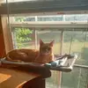 janicebledsoe746 - @janicebledsoe746 - TikTok
