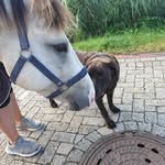 janice block - @janiceblock174 - Instagram
