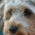 Janice Block-Navratil - @jjnavratil - Instagram