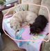 Janice Bodenham - Facebook