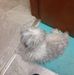 Janice S Bode - Facebook