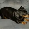 Janice Bolton - @janice.bolton13 - TikTok