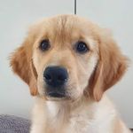 Janice Boswell - @boswell.janice - Instagram