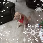 Janice Boswell - Facebook