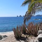 Janice Bott - @stellabellaz1 - Instagram