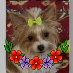 Janice Hoffman Boucher - @janhb77 - Instagram