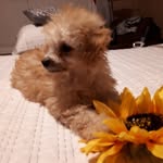 Janice - @janiceboucher5 - Instagram