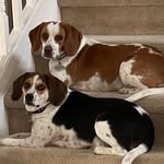 Janice Lauwers Boucher - @maboucher58 - Instagram