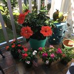 Janice Boudreau - @janicefboudreau - Instagram