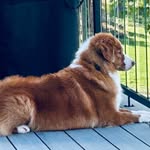 Janice Gaudet Boudreau - @gaudetboudreau - Instagram