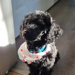 Janice Bourque - @janice_bourque - Instagram