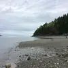 Janie Bourque  - @janiebourque - TikTok
