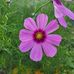 Janice Broughton - Facebook