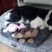 Janice Broughton - Facebook
