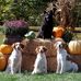 Janice Barkby Brunner - Facebook