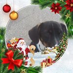Janice Brunner - @janice.brunner1 - Instagram
