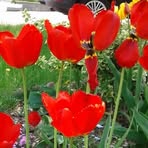 Janice Bruno - Facebook
