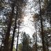 Janice Buck - Facebook