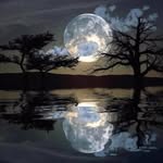 Janice Meisinger Buck - @janicebuck0303 - Instagram