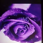 Janice Buckley - Facebook