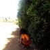 Janice Baru - Facebook
