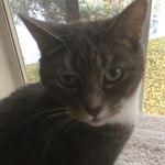 Janice Burr - @burr8319 - Instagram