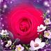 Janice Burrell - Facebook